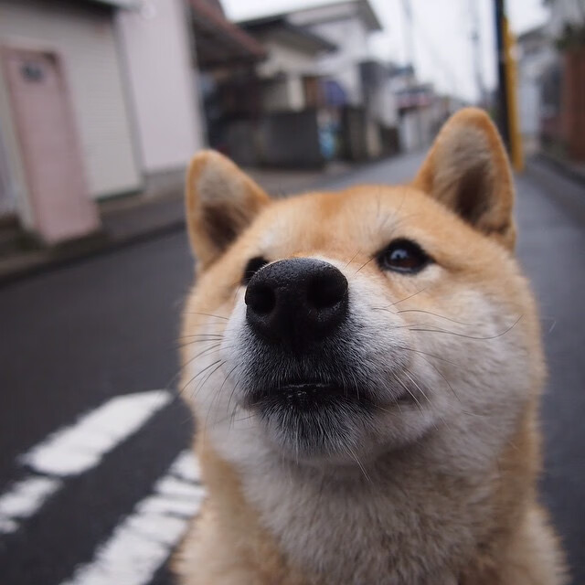 利物浦客场小胜狼队,冲刺积分榜榜首,利物浦跟狼队比赛